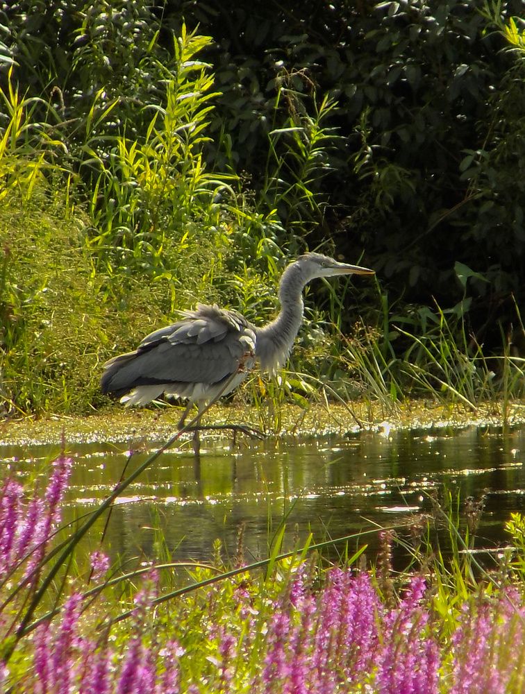 Photograph by Мария Гостева