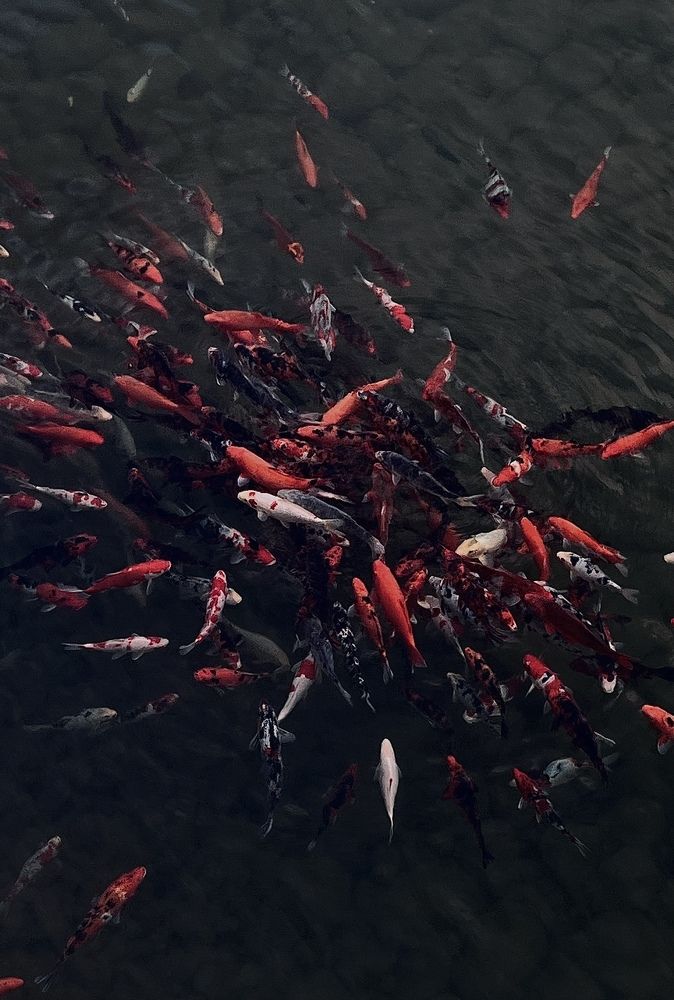 Photograph by Елена Громова