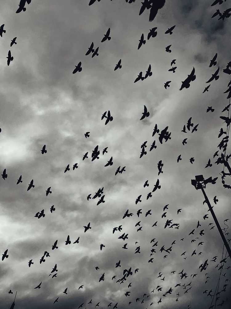 Photograph by Masaba Masud Mina