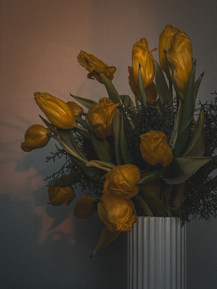 Photograph by Maria Borisova