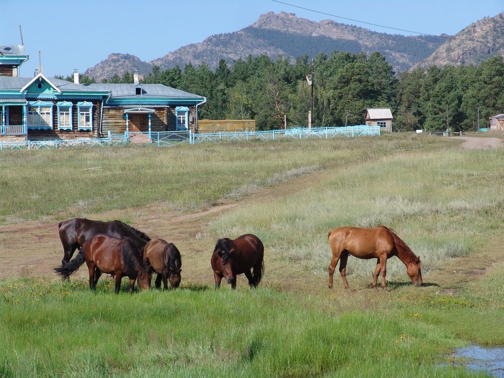 Photograph by Михаил Максимов