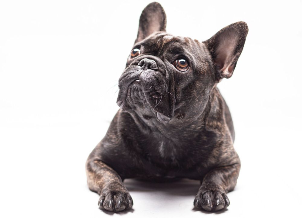 Photograph by Анна Васильева