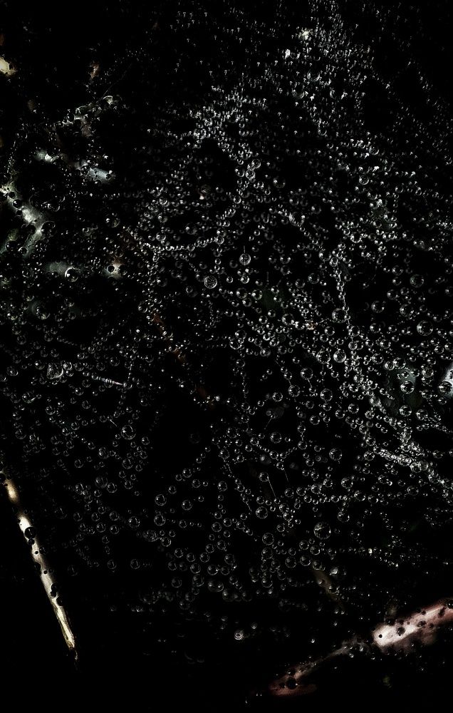 Photograph by Ольга Агаронова