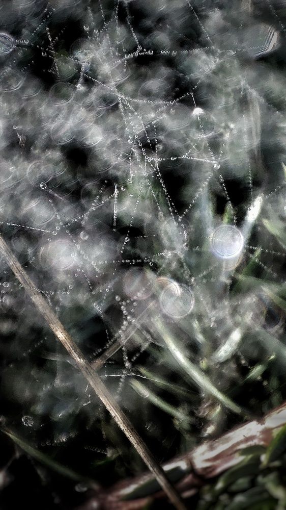 Photograph by Ольга Агаронова