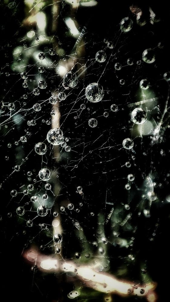 Photograph by Ольга Агаронова