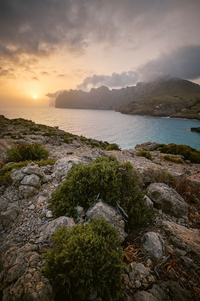 Photograph by Samochin Milan