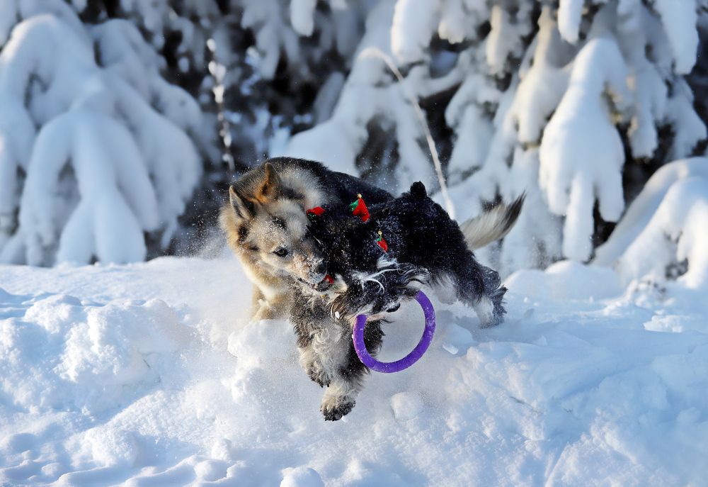 Photograph by Галина Щурова