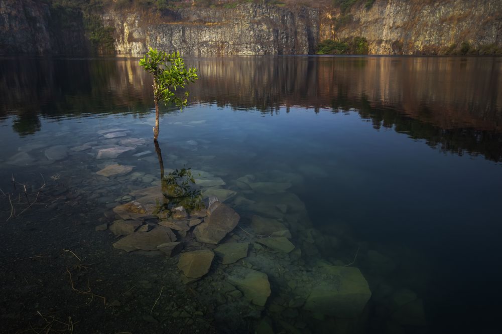 Photograph by Chau Nguyen