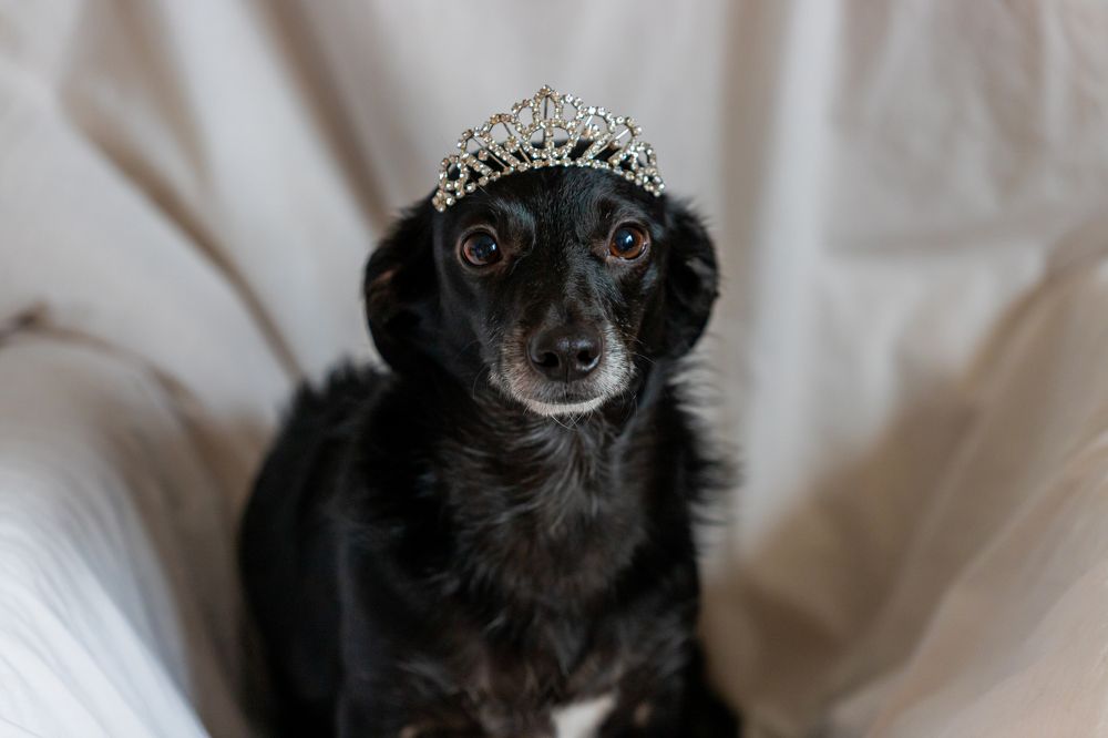 Photograph by Irina Beleva