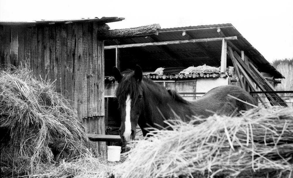 Photograph by Андрей Жучков