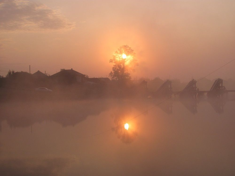 Photo #10242001
