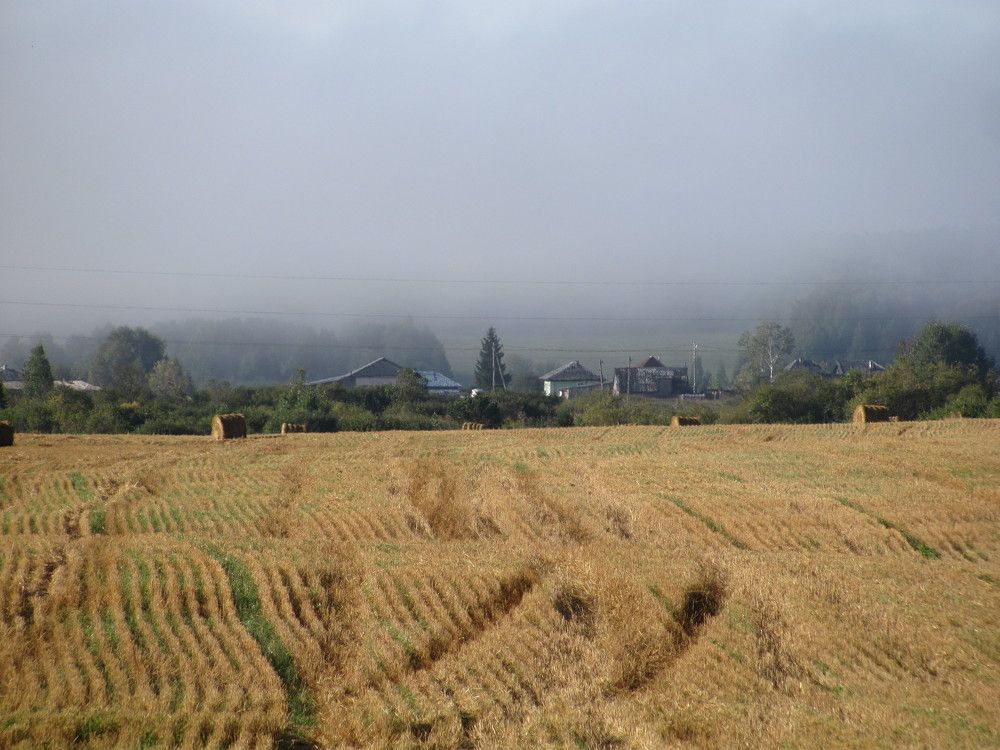 Photograph by Петр Нефедьев