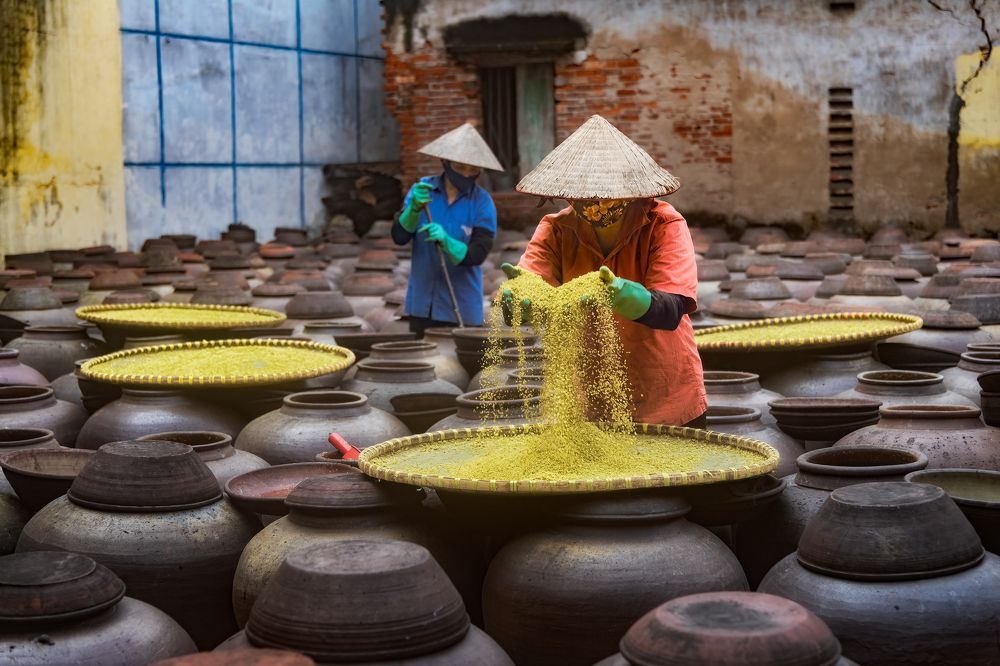 Производство традиционного вьетнамского соeвого соуса / Production of Vietnamese traditional soy sauce
