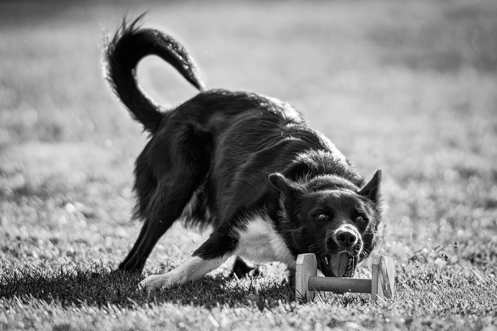 Photograph by Даниил Гладышев