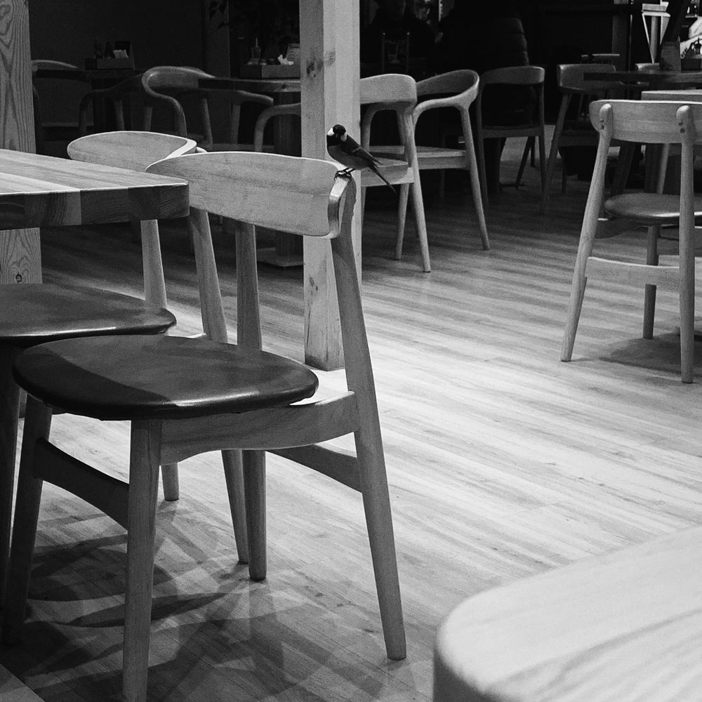 Photograph by Милена Константинова