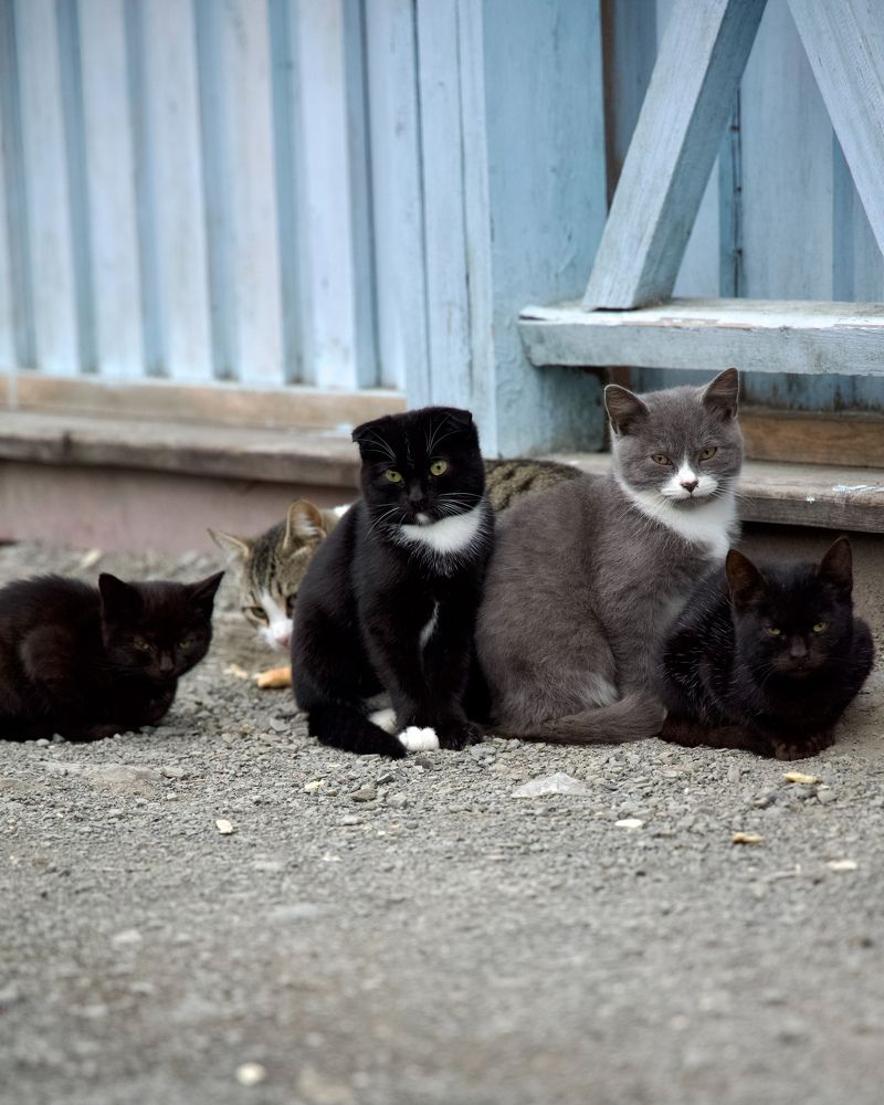 Photograph by Nadezhda