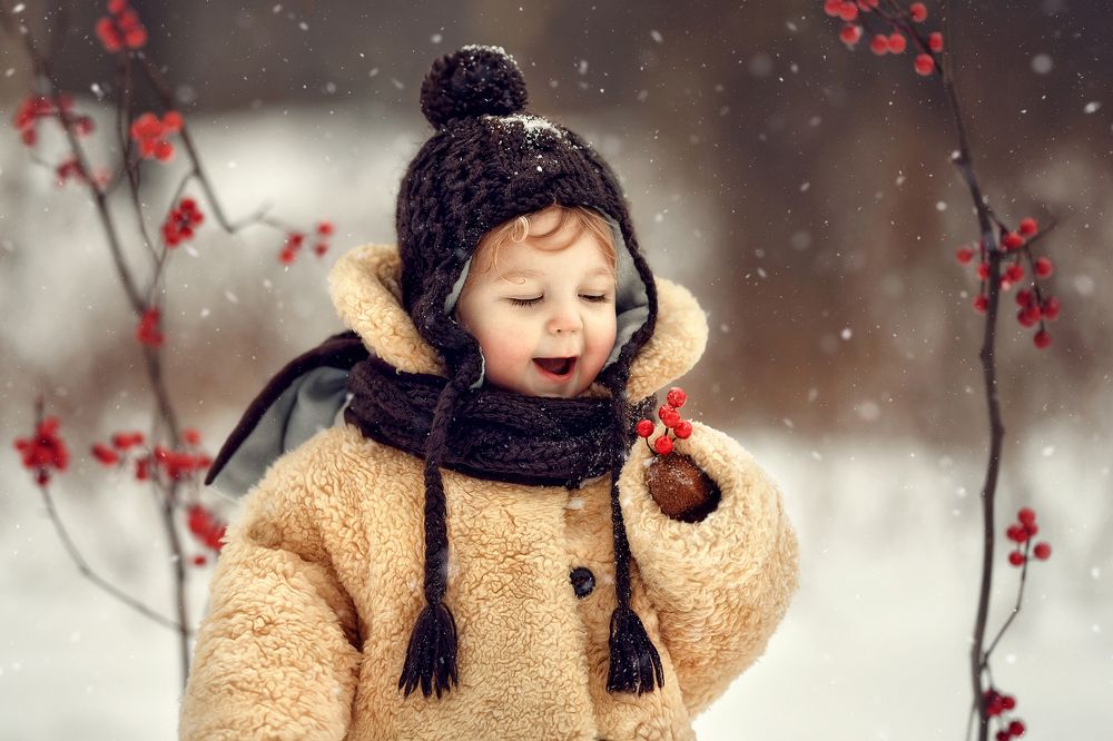 Елисей Никитич