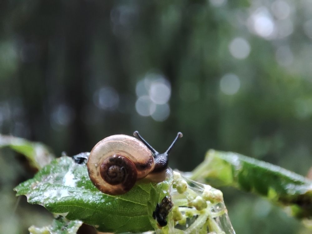 Photograph by Evgrashina Karina