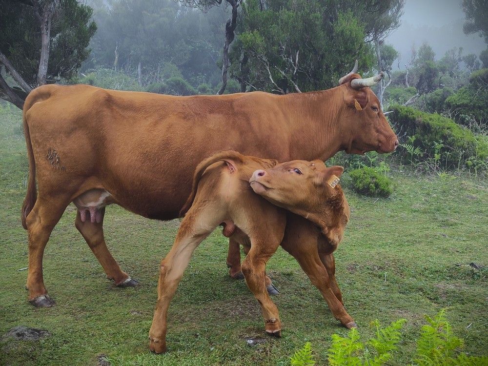 Photograph by Diana Kozlova