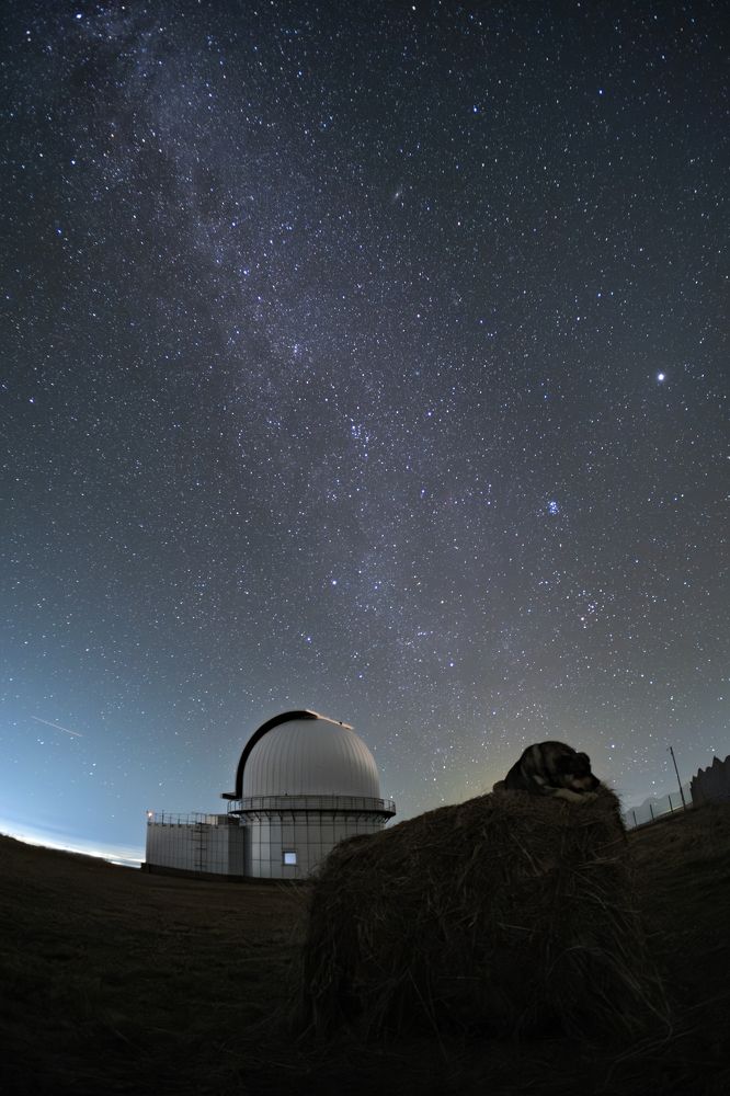 Photograph by Стоянова-Тимбукту Мария