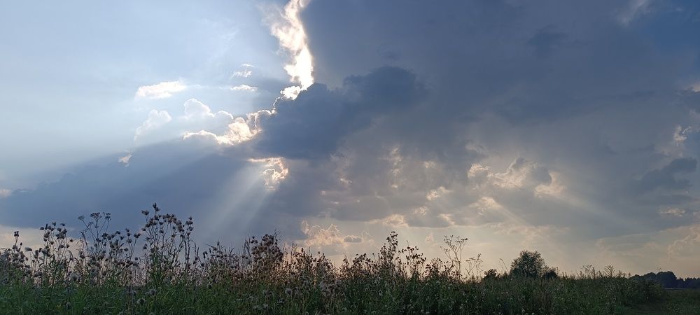Фотография автора Жанна Афанасьева