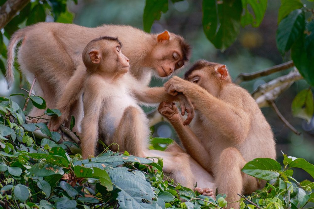 Photograph by Анатолий Асеев