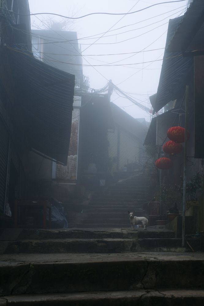 Photograph by Стоянова-Тимбукту Мария