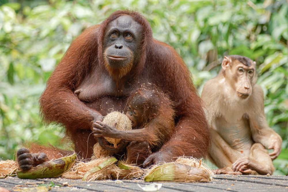 Photograph by Анатолий Асеев