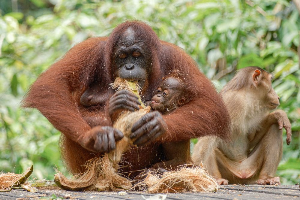 Photograph by Анатолий Асеев