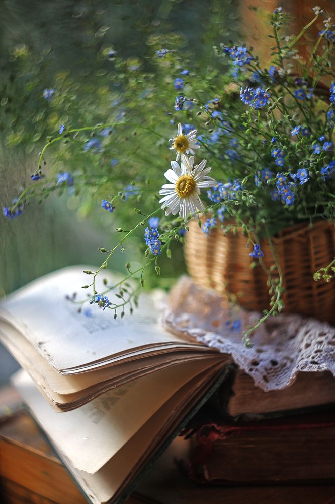 Странички лета