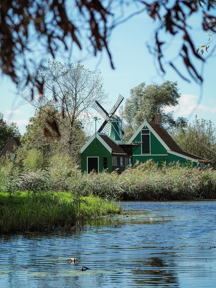 Photograph by Протченко Ирина