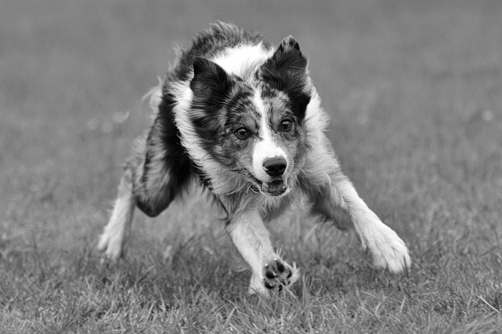 Photograph by Юлия Зубкова