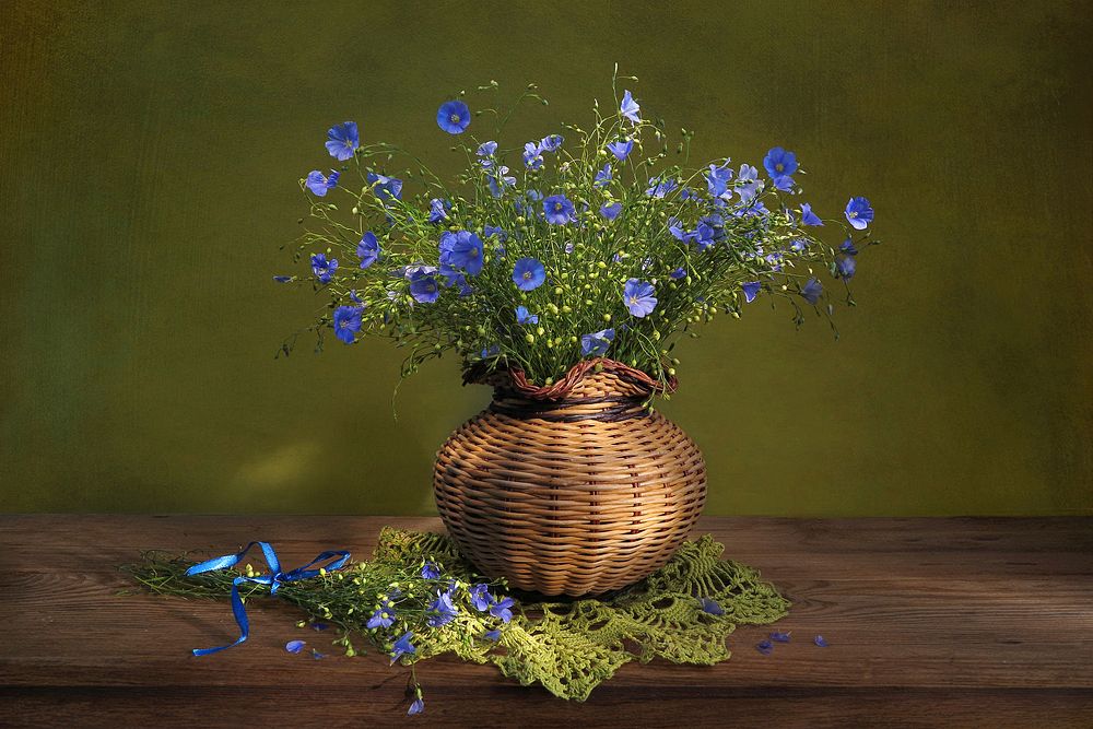 Photograph by Алла Шевченко