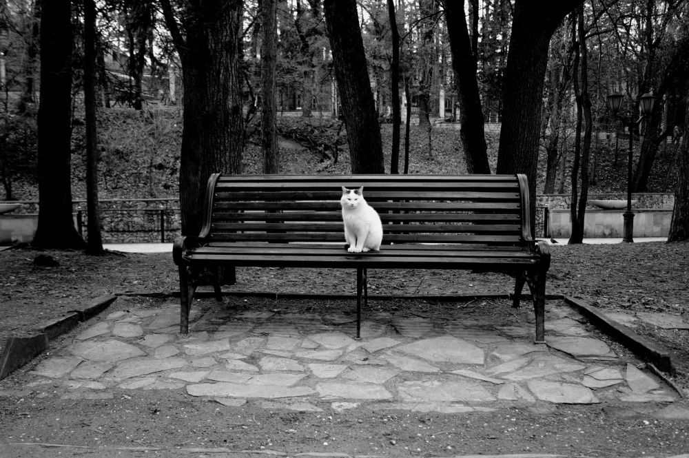 Photograph by Денис