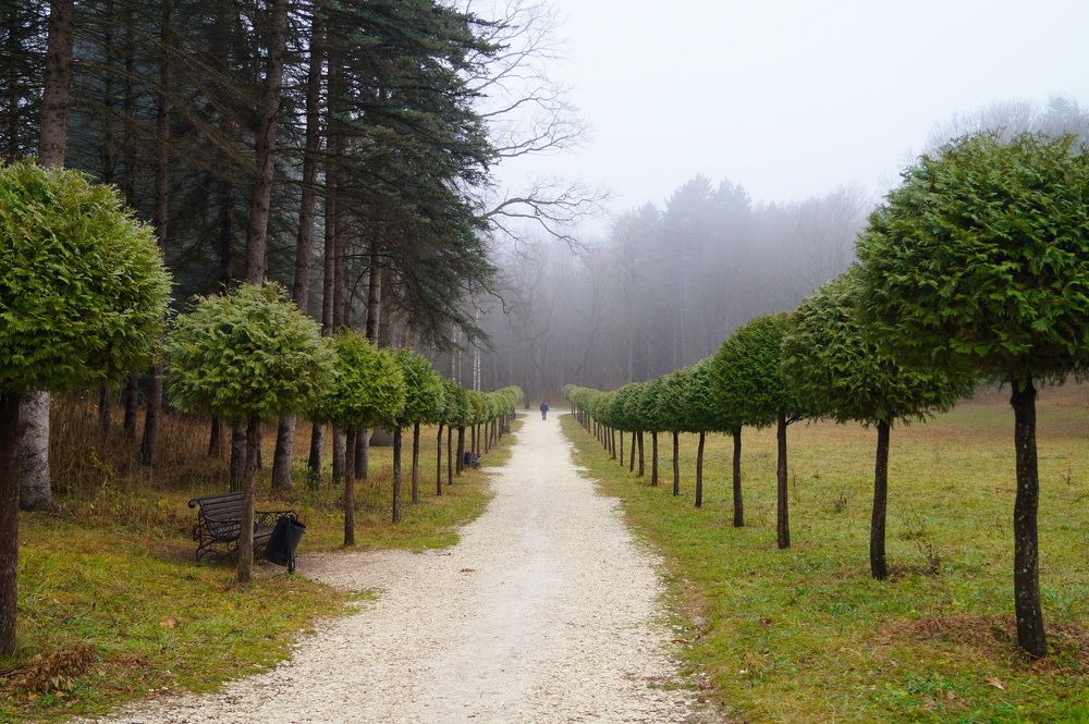 Photograph by Денис