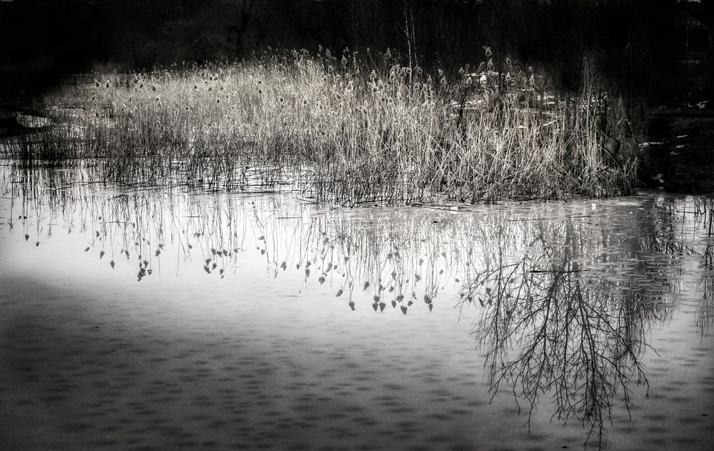 Photograph by Анна Берневик