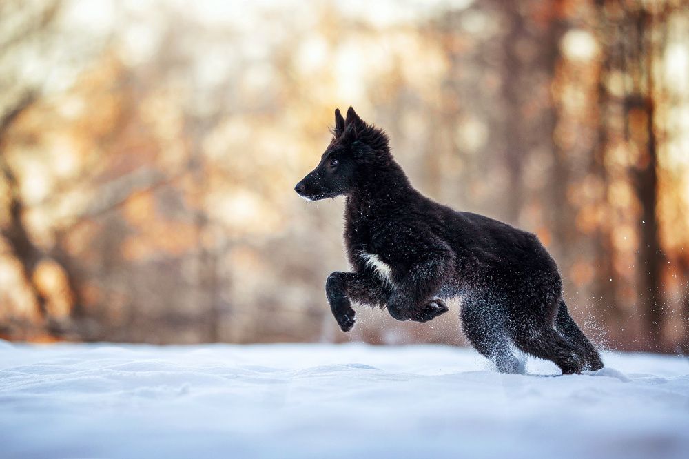 Photograph by Denisa Zbranková Albaniová