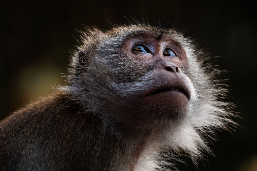 Photograph by Bruno Ribeiro