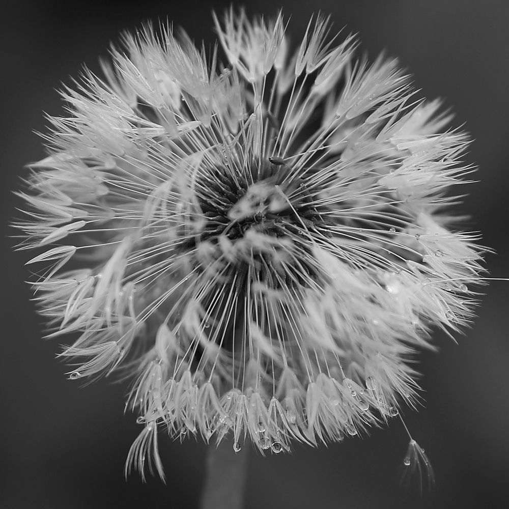 Photograph by Елена Одынец