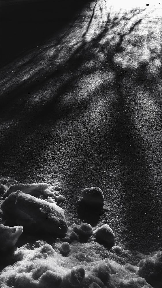 Фотография автора Васильева Ирина