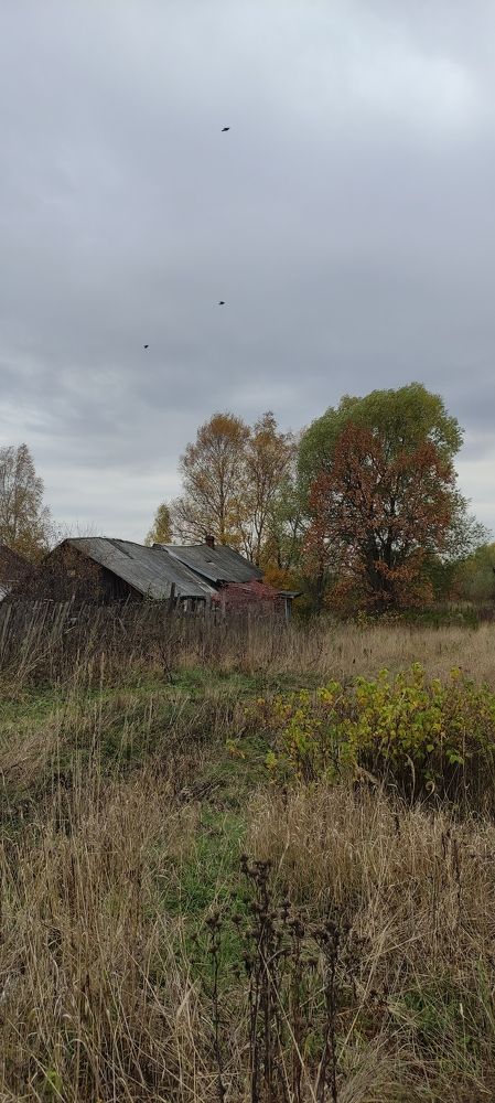 Фотография автора Васильева Ирина