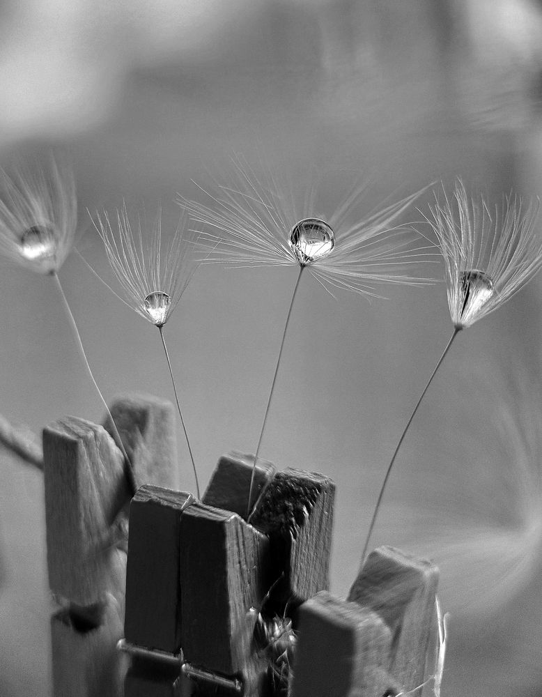 Большая стирка