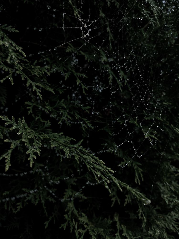 Фотография автора Мария Филиппова