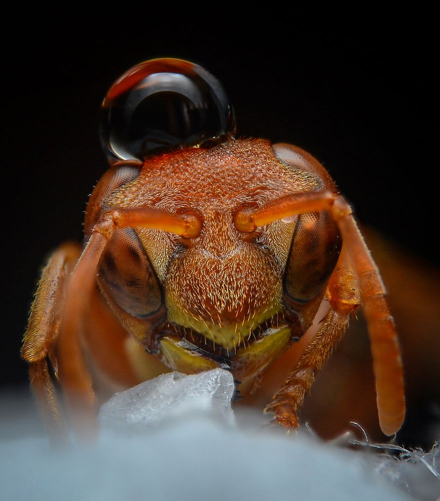 Photograph by Kasun Wickramasinghe
