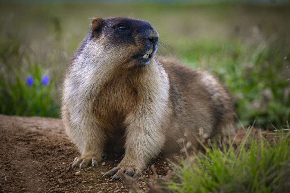 Photograph by Алия Султан