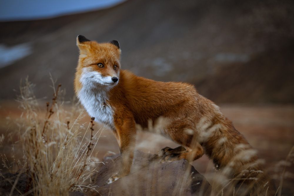 Photograph by Алия Султан