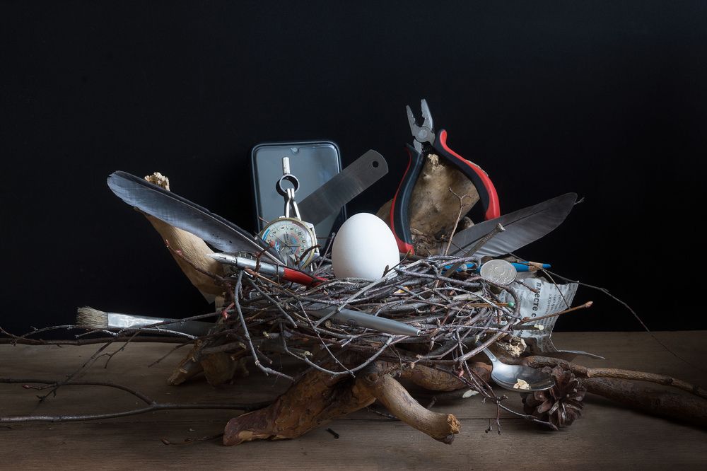 Учись трудиться – всё в жизни пригодится!