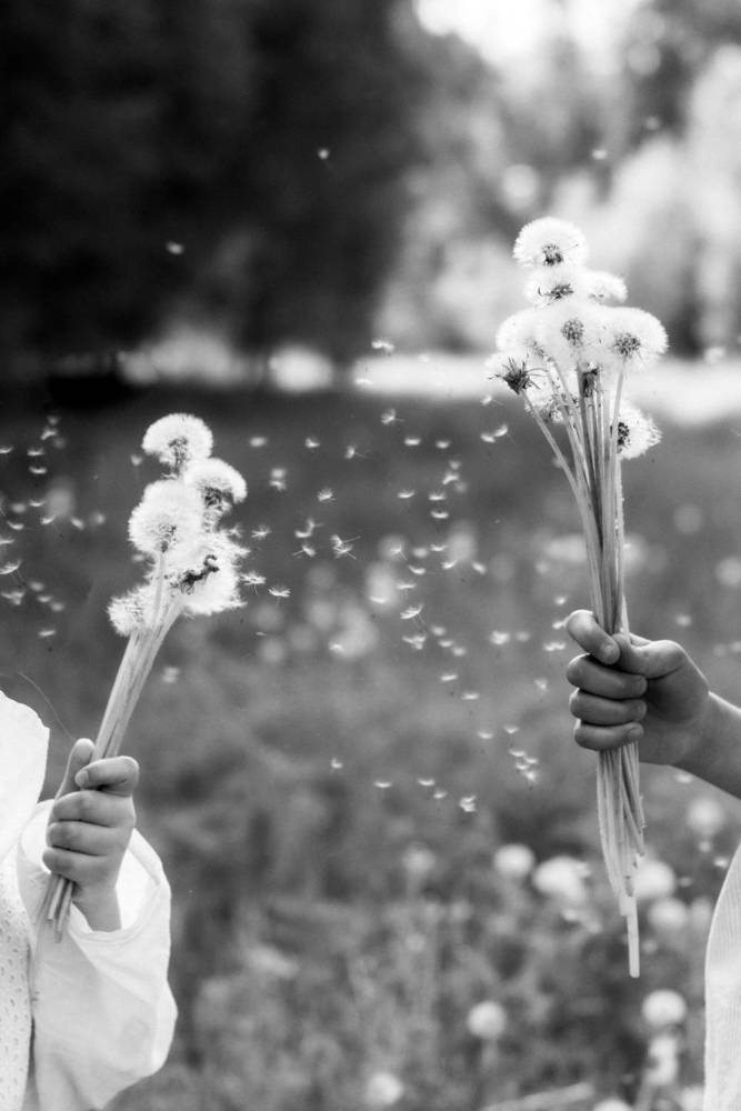 Одуванчики и первая любовь