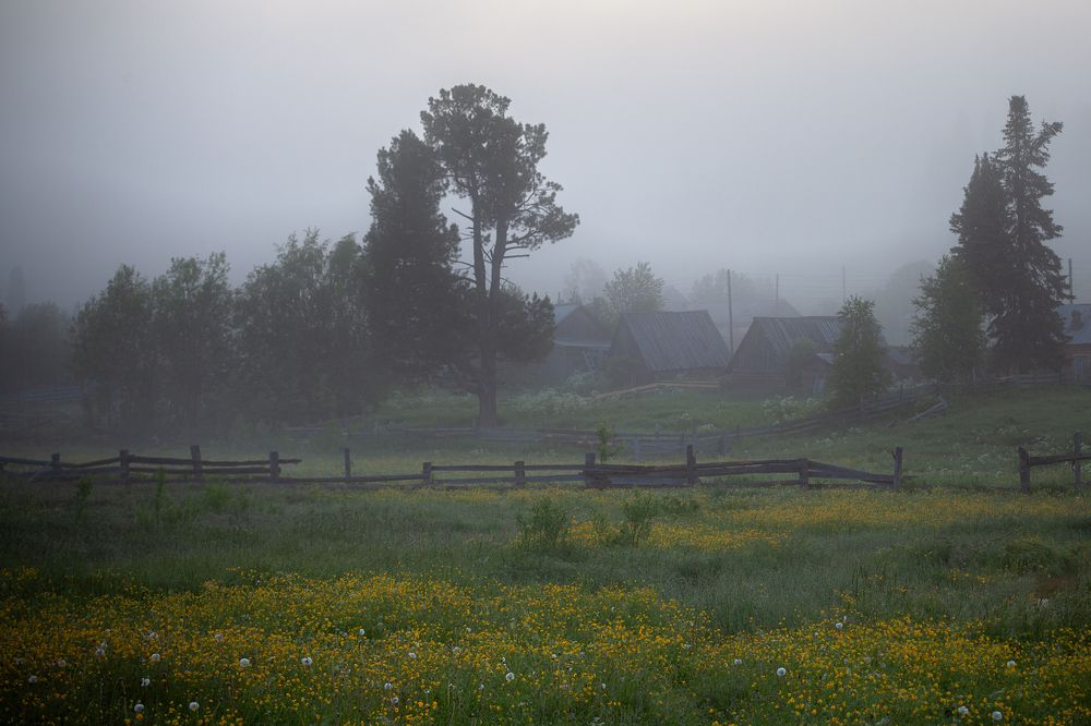 Photograph by Евгений Кузнецов