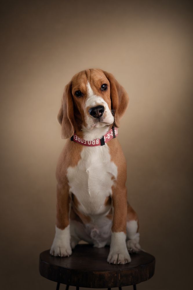 Photograph by Оксана Завьялова